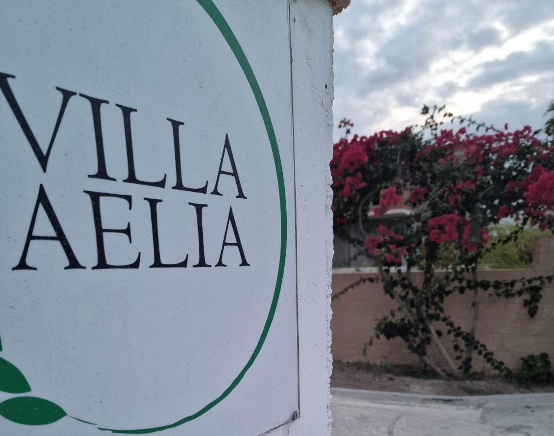 Aelia House Kefalos - Cozy & Quiet Buitenkant foto